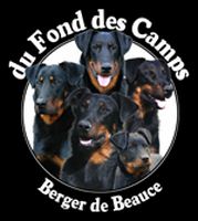 du Fond des Camps - Les chiots de Djoune et Follow sont nés !