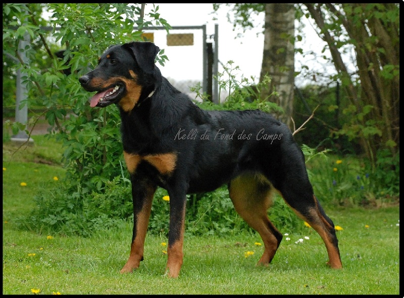 Kelli du Fond des Camps